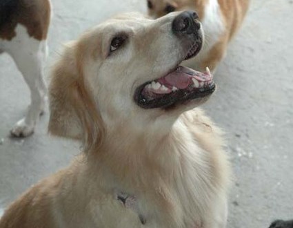 1380944723-1629136334