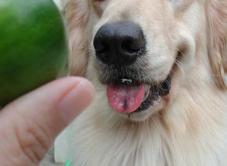 1380944724-1712740676