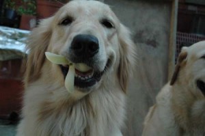 1380944724-965080014