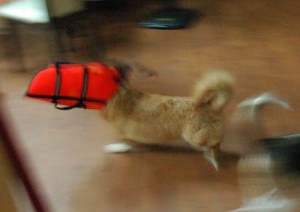 1380944725-4134428720