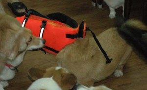 1380944726-3158970778