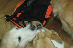 1380944726-3212361404