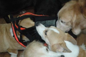 1380944726-3992311495