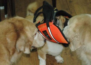 1380944727-1213524568