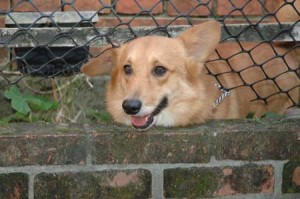 1380944728-1721520904