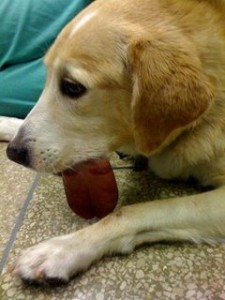 1380944729-3927794290