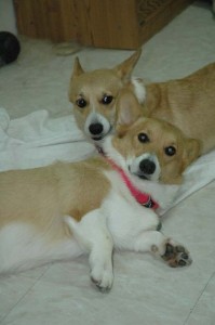 1380944742-1340461970