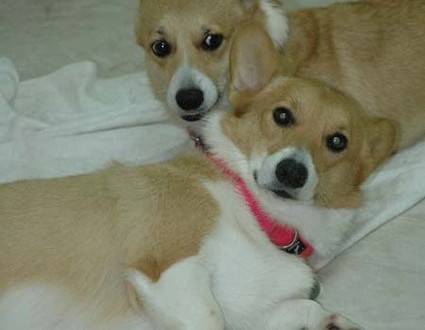 1380944742-1340461970