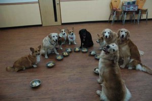 1380944743-1613492647