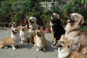 1380944744-1159356952