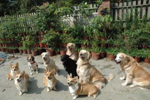 1380944744-3811908549