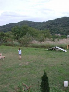 1380944747-411718120