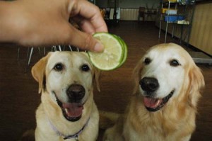 1380944750-284689672