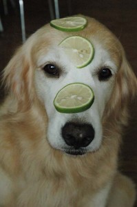 1380944750-3471150192