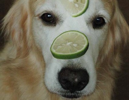 1380944750-3471150192