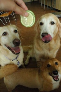 1380944751-3263844678