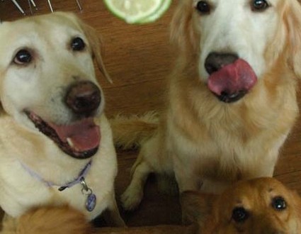 1380944751-3263844678