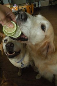 1380944751-3403919064