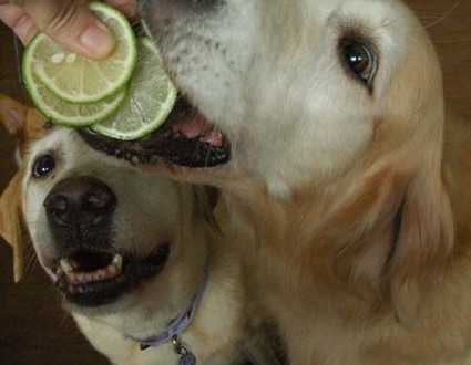 1380944751-3403919064