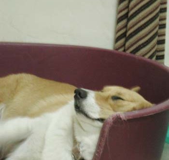 1380944752-425948489