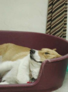 1380944752-425948489