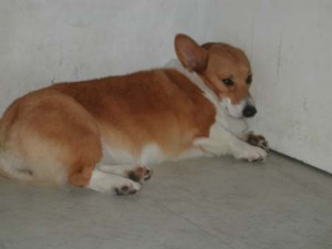 1380944753-1091053204