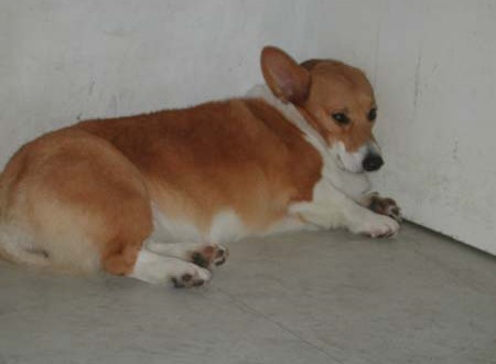 1380944753-1091053204