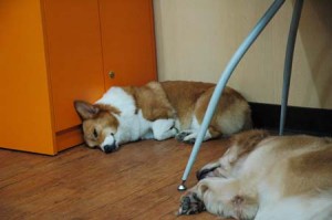 1380944753-301657547