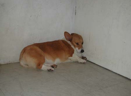 1380944753-711284536