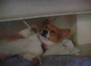 1380944754-1566488983