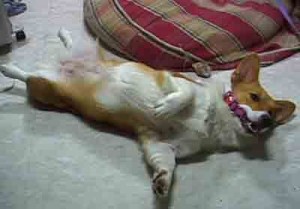 1380944754-2095610478