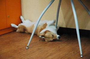 1380944755-357154883