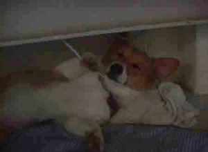 1380944755-4268434618