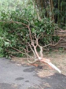 1380944770-3583012854