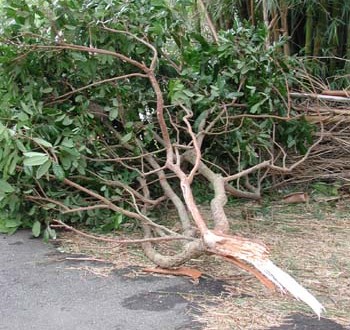 1380944770-3583012854