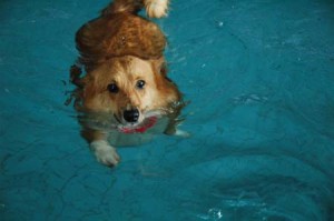 1380944781-1556343614