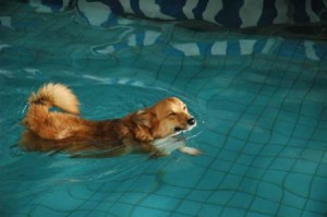 1380944781-3890810841