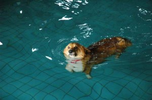 1380944781-989928267