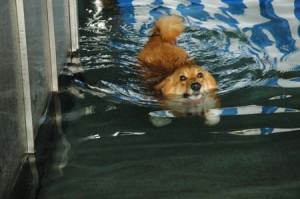 1380944782-2280438447