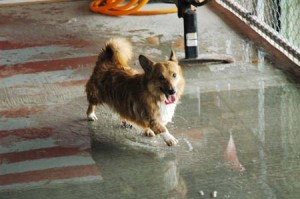 1380944782-3364615231