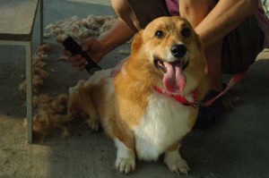 1380944783-3290996531