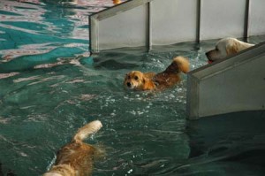 1380944783-4225591088