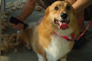 1380944784-1552179854