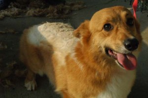 1380944784-2172543971