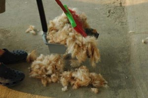 1380944785-3308477362