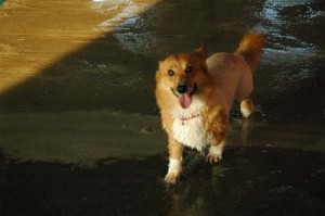 1380944785-4202005248