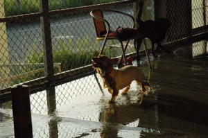 1380944785-424971038