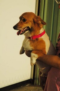 1380944786-1566414182