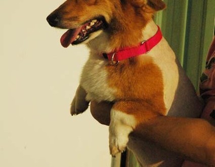 1380944786-1566414182