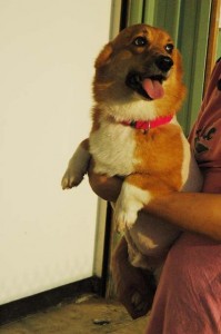 1380944786-770428386